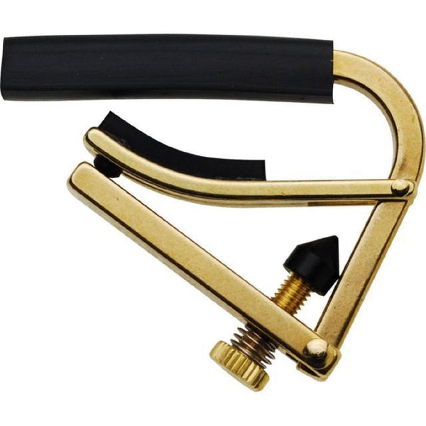 Guitar Accessories
