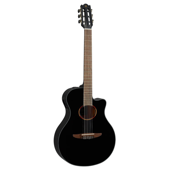 Classical Guitars