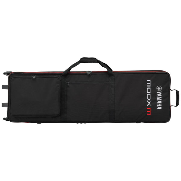 Cases and Gig Bags