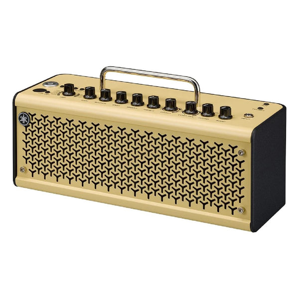 Guitar Amps