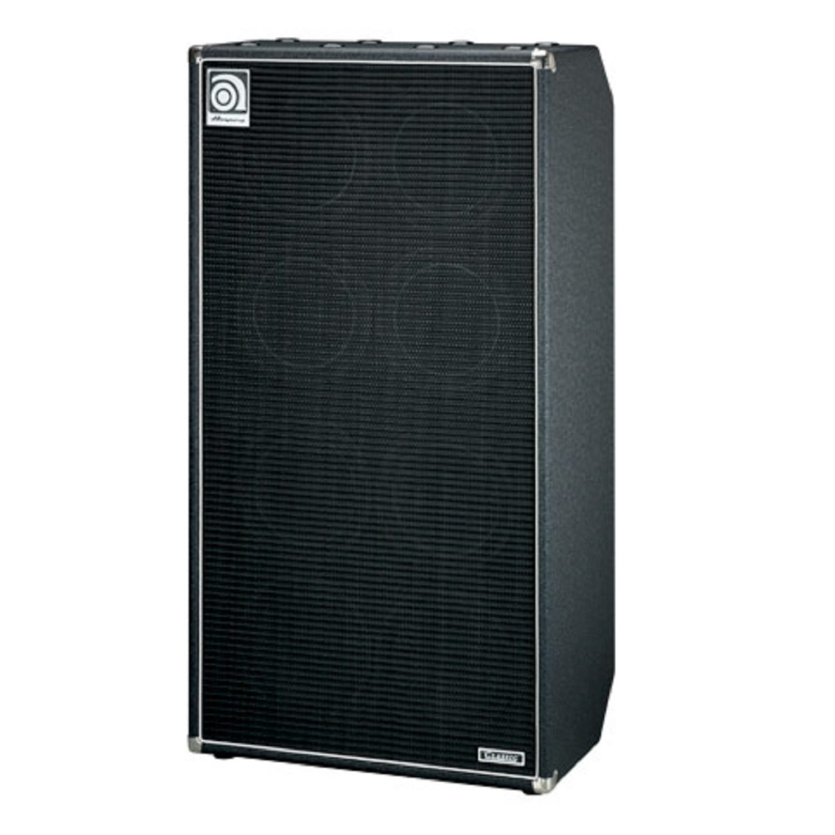 Ampeg SVT810E right