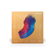 D'Addario - Ascenté A310 4/4 Violin String Set - Medium Tension