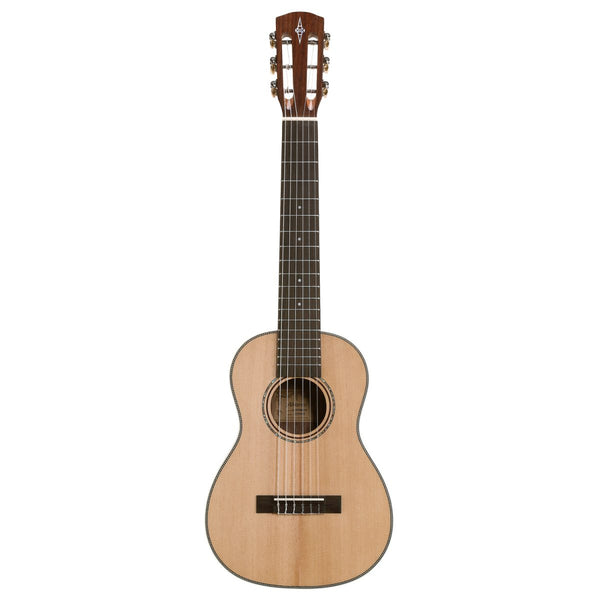 Acoustic Guitars