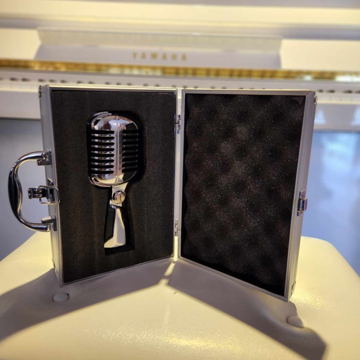 Music 8 - Classic Silver Microphone With Case