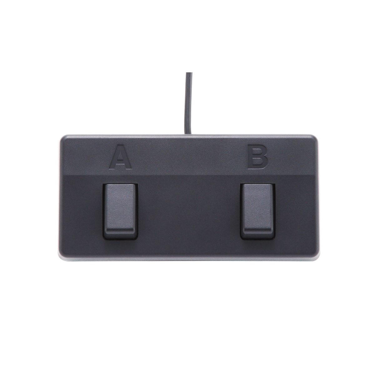 Boss - Acoustic Singer Pro - Acoustic Amplifier