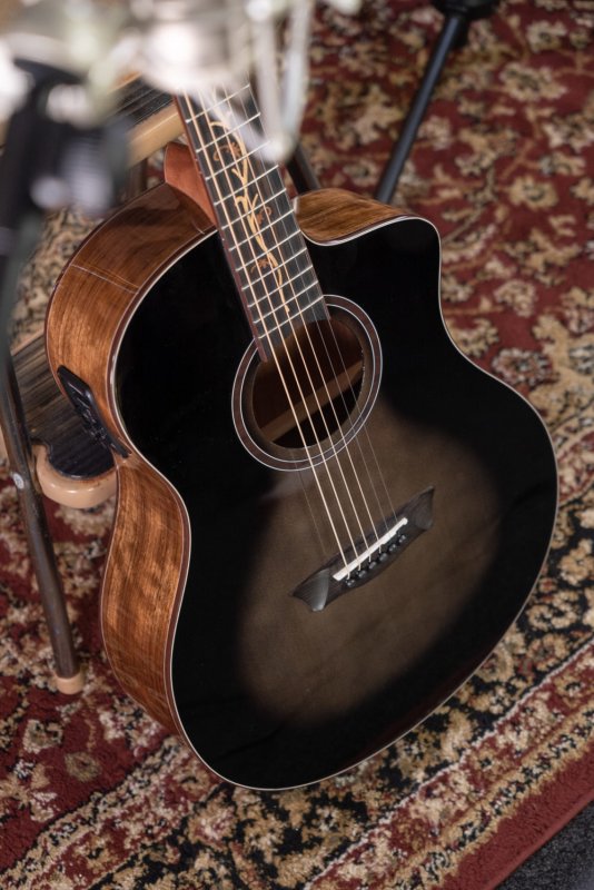 Washburn - Bella Tono Studio 9 Vine Acoustic Guitar CE Spruce/Walnut #BTS9VCECH-D