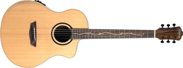 Acoustic Guitars