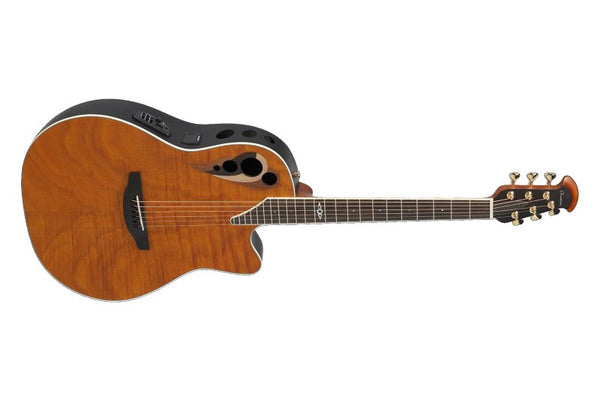 Acoustic Guitars