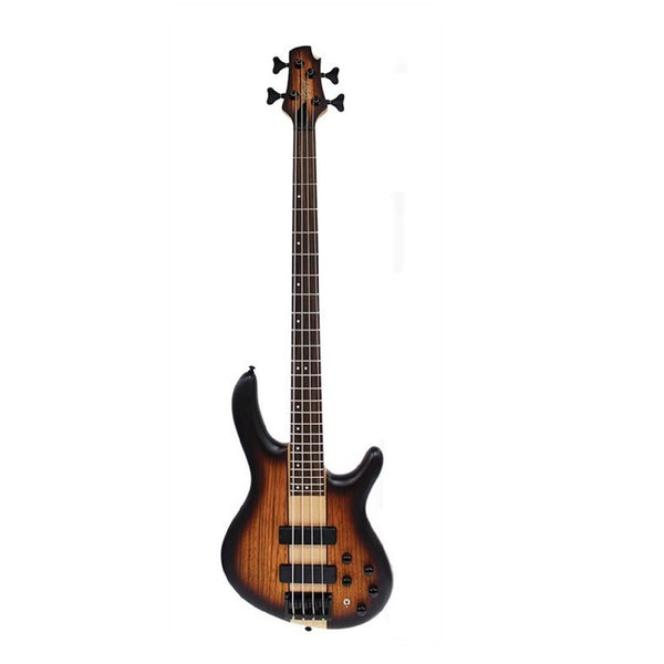 Bass Guitars