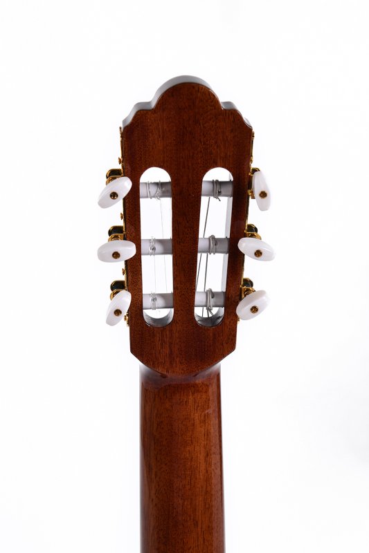Sigma - Classical Acoustic-Electric Guitar, Satin #CTMC-2E