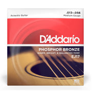 D’Addario EJ17