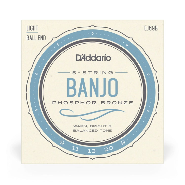 D'Addario - 5-String 09-20 Banjo Phosphor Bronze Ball End - Regular Light EJ69B