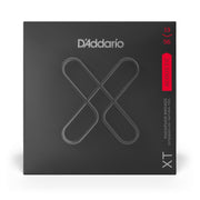 D'Addario - 13-56 XT Phosphor Bronze - Medium XTAPB1356