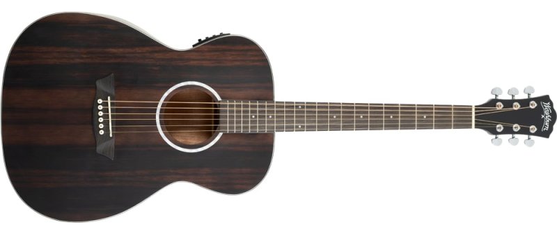 Washburn - Deep Forest Folk Acoustic / Electric Guitar, Striped Ebony #DFEFE
