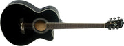 Washburn - Festival Acoustic-Electric Guitar #EA12B-A