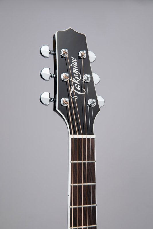 Takamine - Pro Series Dreadnought Acoustic Electric Guitar With Case, Black #EF341SC