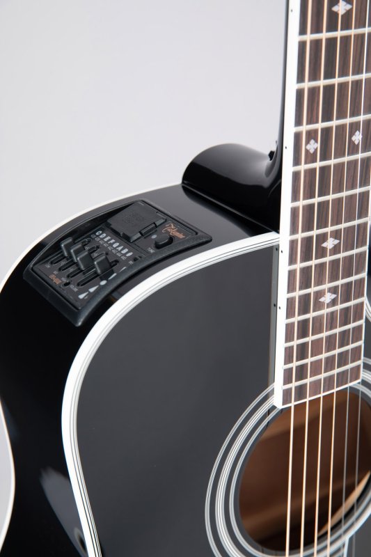 Takamine - Pro Series Dreadnought Acoustic Electric Guitar With Case, Black #EF341SC