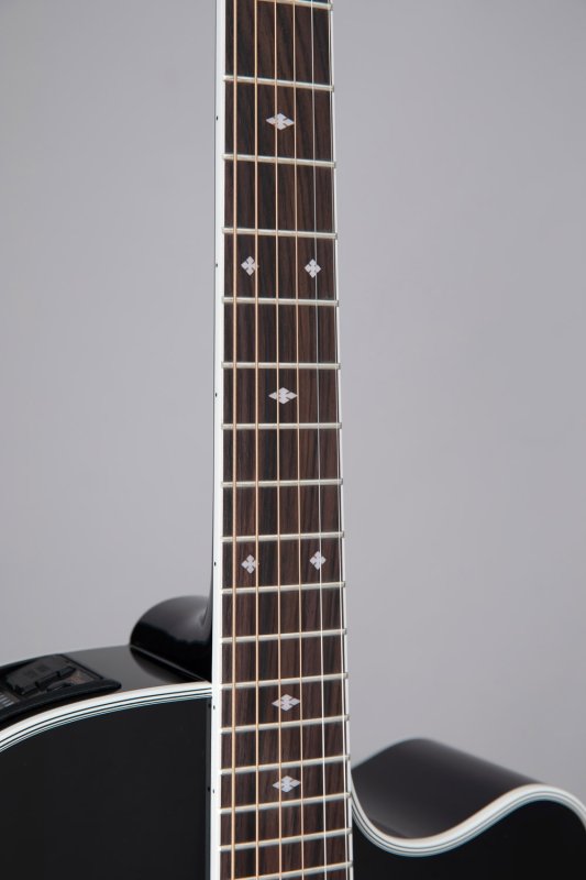 Takamine - Pro Series Dreadnought Acoustic Electric Guitar With Case, Black #EF341SC