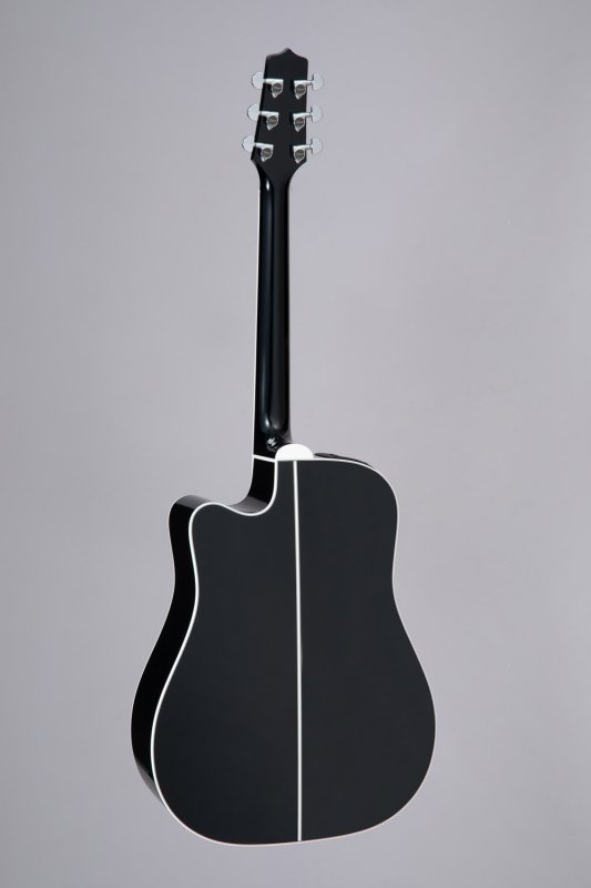 Takamine - Pro Series Dreadnought Acoustic Electric Guitar With Case, Black #EF341SC