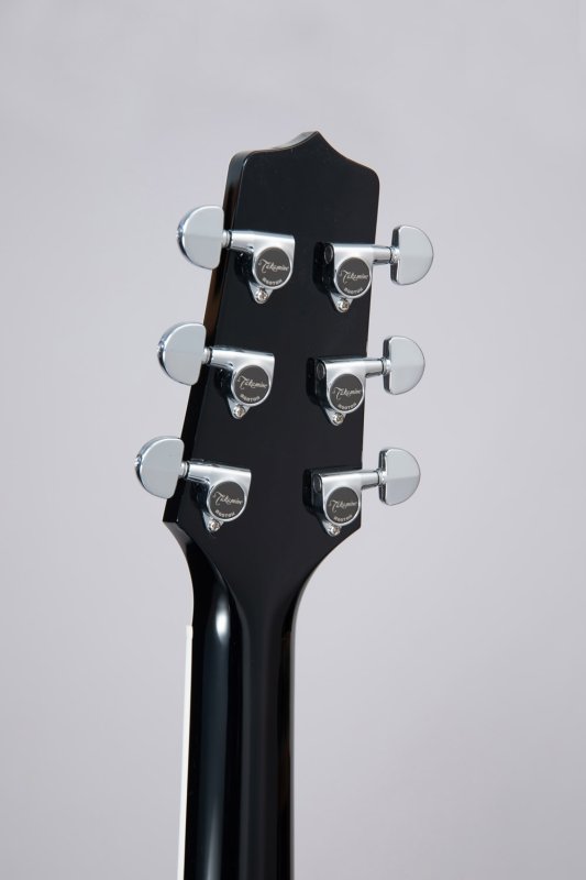 Takamine - Pro Series Dreadnought Acoustic Electric Guitar With Case, Black #EF341SC