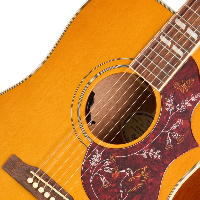 Epiphone - Hummingbird Studio Antique Natural #EASHBANNH1 — 7