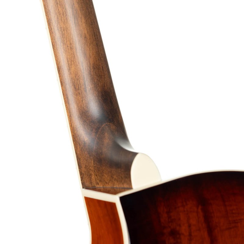 Cort - Performance Acoustic-Electric Guitar with Solid Spruce Top, Sunburst #EXOTIC-SFX-MYRTLE-SS