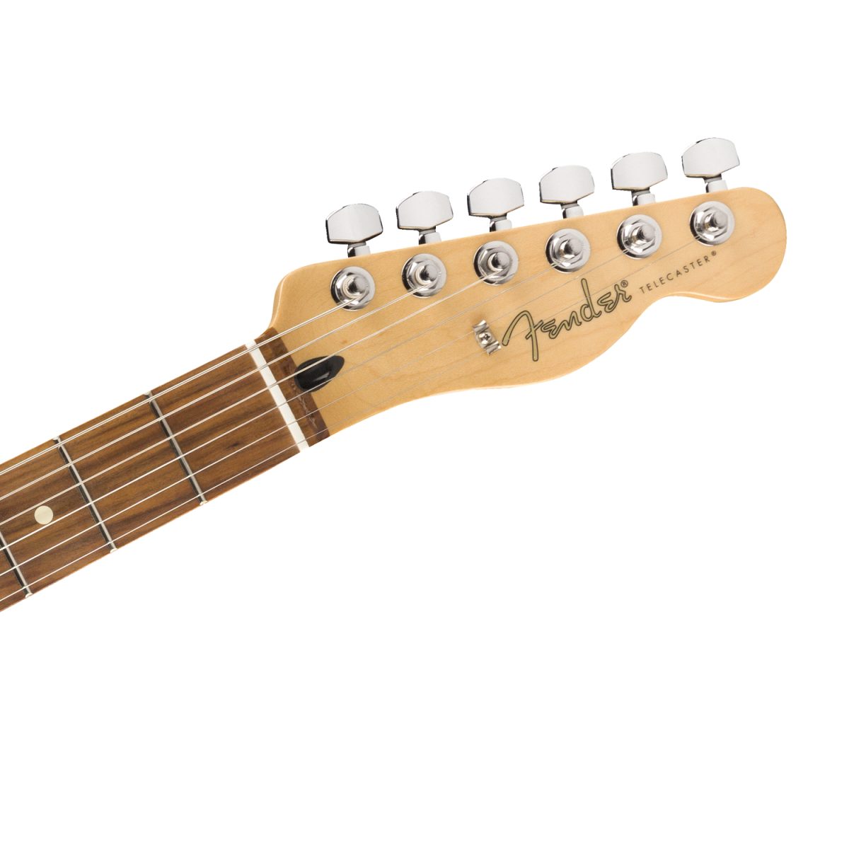 Fender - Player Telecaster® HH - 0145233581 head
