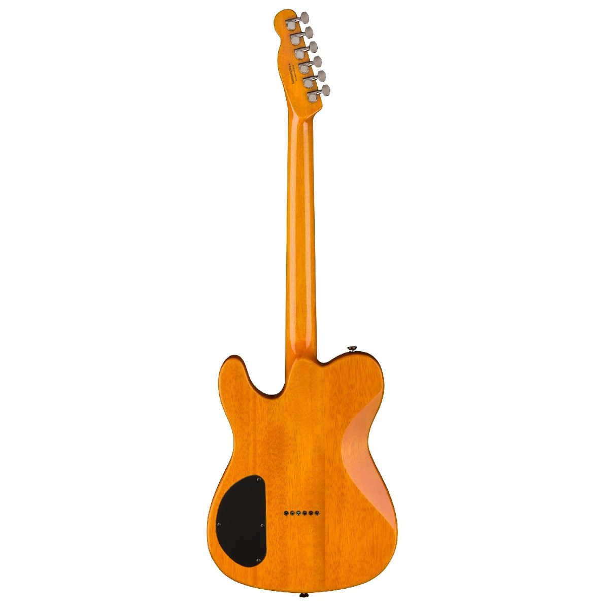 Fender - Special Edition Custom Telecaster FMT HH - Amber Back