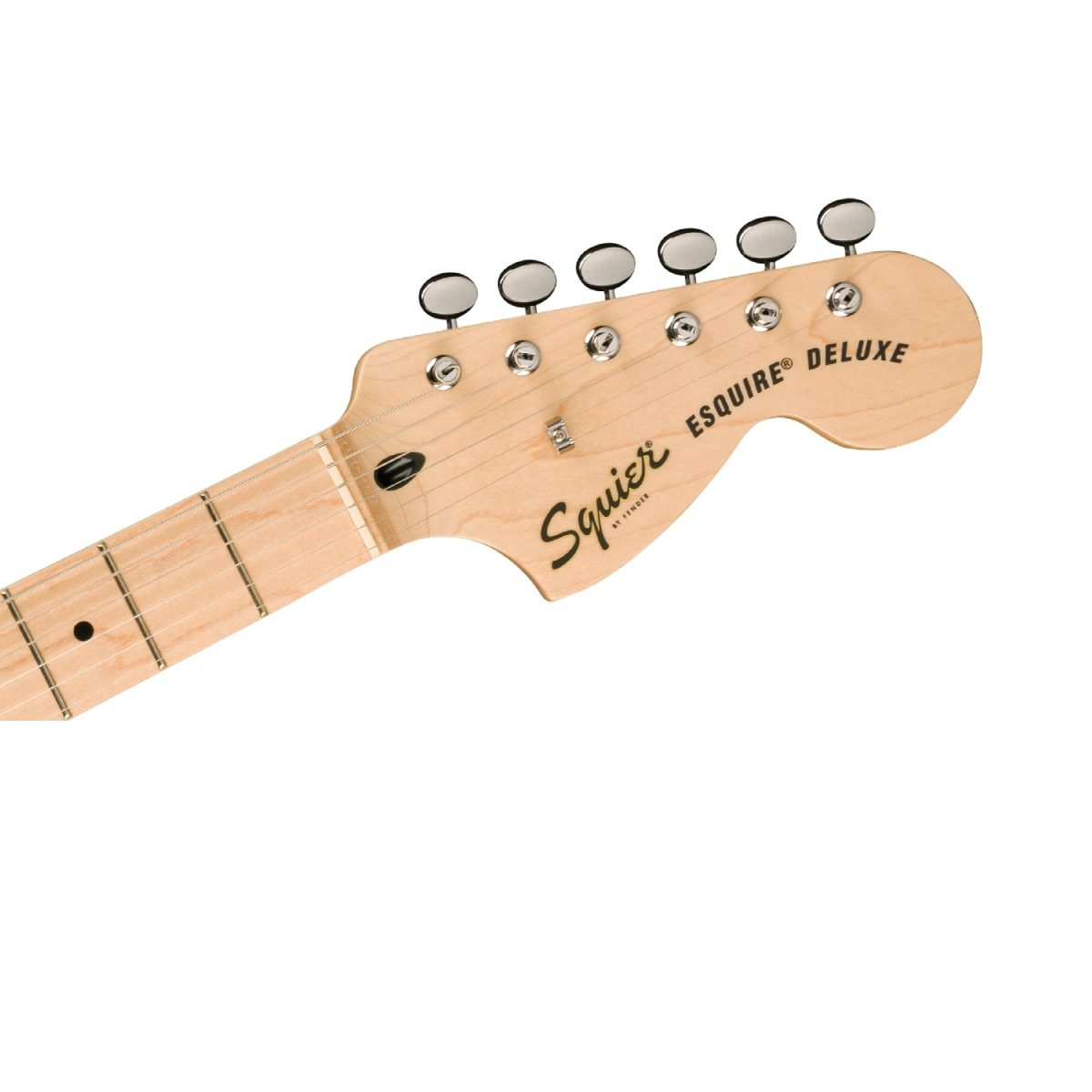 Squier - Paranormal Esquire Deluxe - Metallic Black - 0377045565 Head