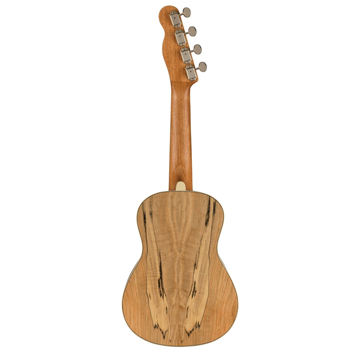 Fender - Zuma Exotic Concert Ukulele - Natural Spalted Maple #0970450594