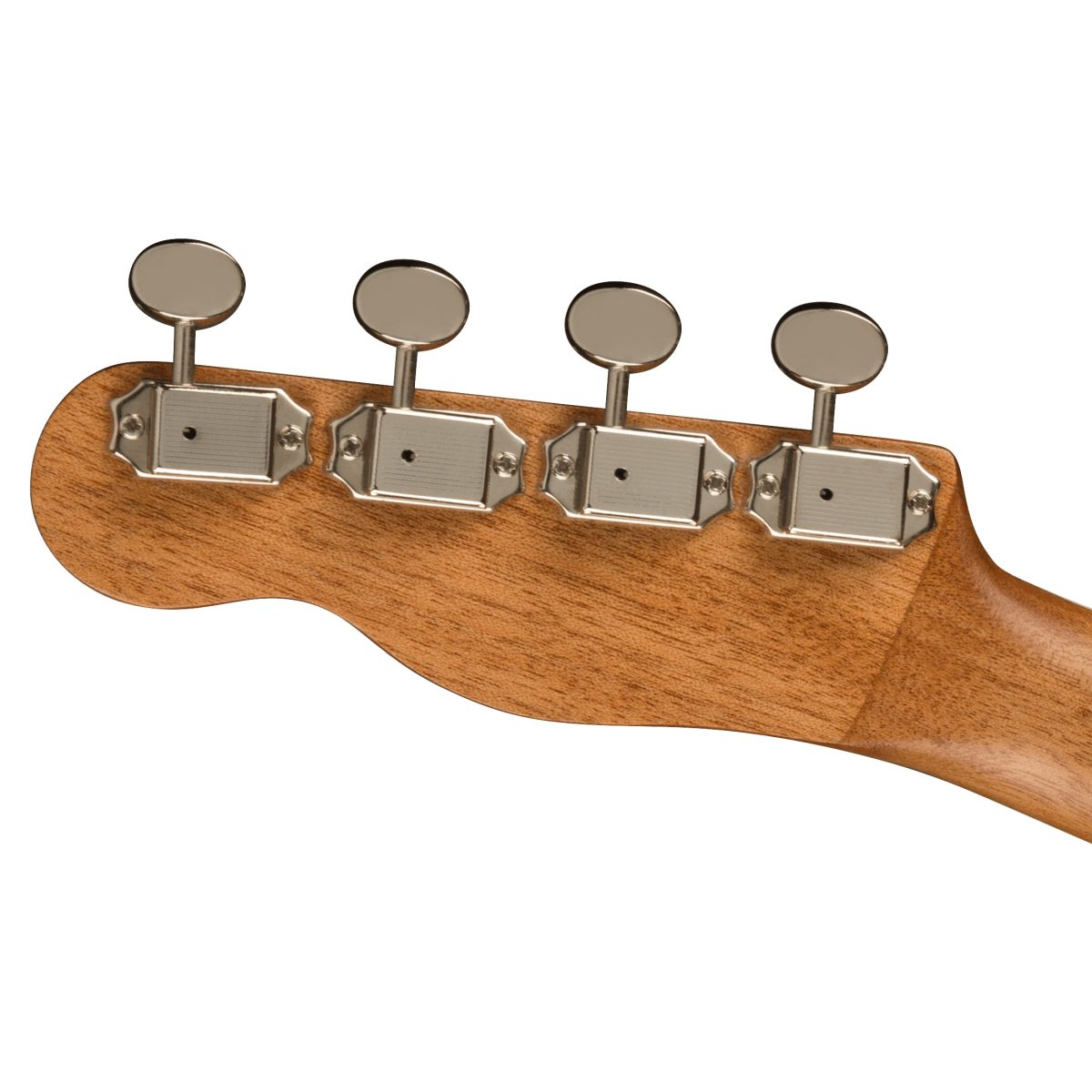 Fender - Zuma Exotic Concert Ukulele - Natural Spalted Maple #0970450594