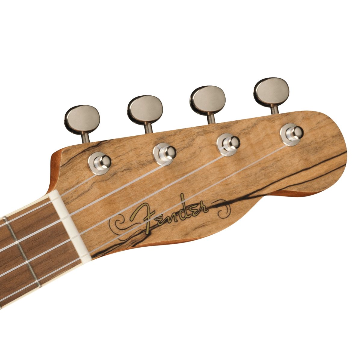 Fender - Zuma Exotic Concert Ukulele - Natural Spalted Maple #0970450594