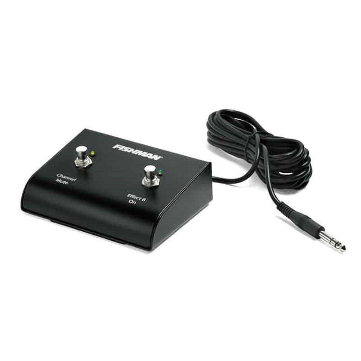 Fishman - ACCLBXFSW - Loudbox Dual Foot Switch