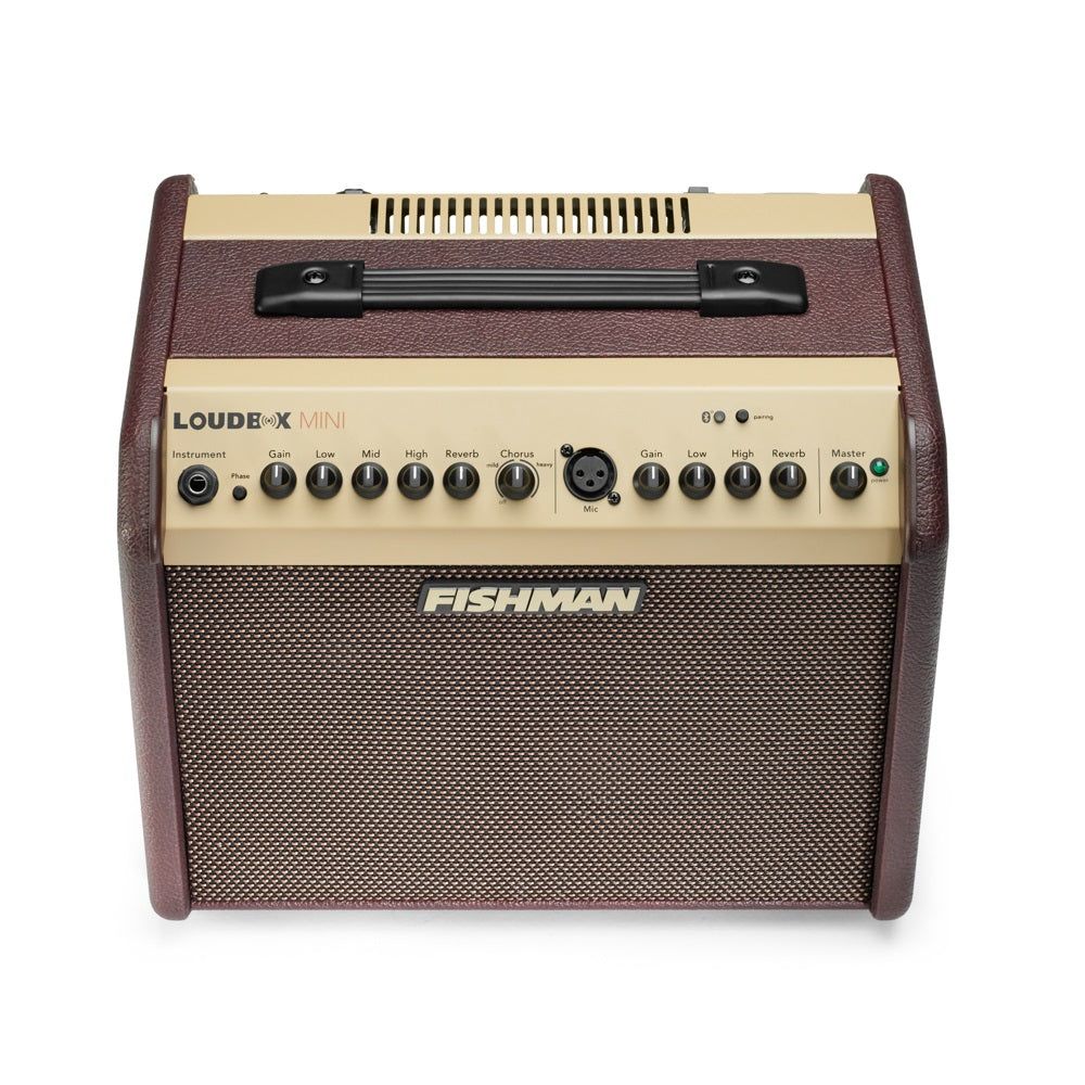 Fishman - Loudbox Mini Bluetooth - PRO-LBT-500