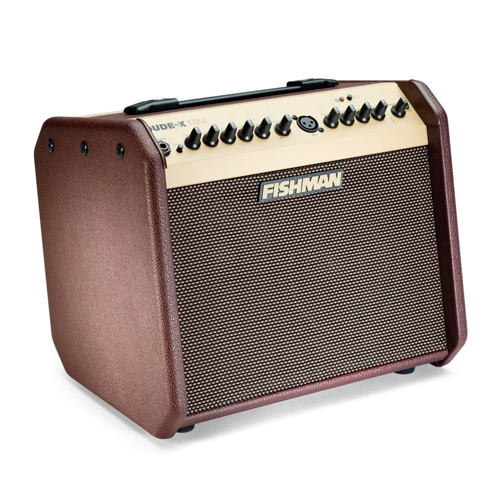 Fishman - Loudbox Mini Bluetooth - PRO-LBT-500