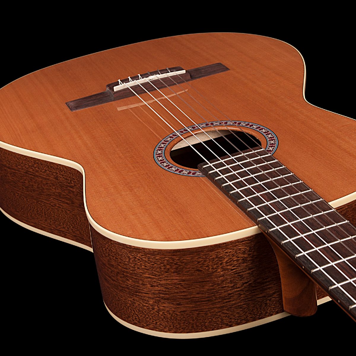 Godin Concert Left body