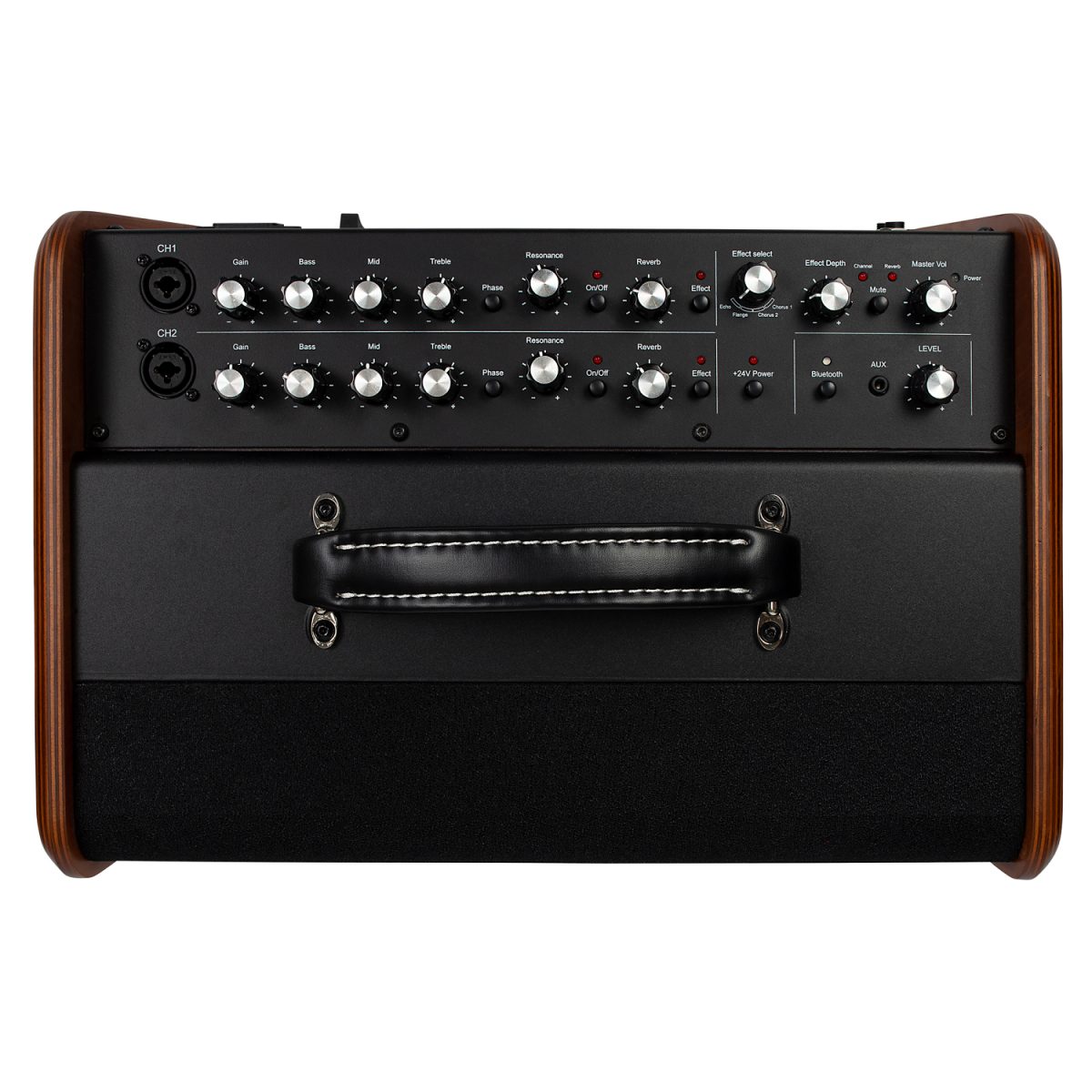 Godin - Acoustic Solutions ASG-8 Wood