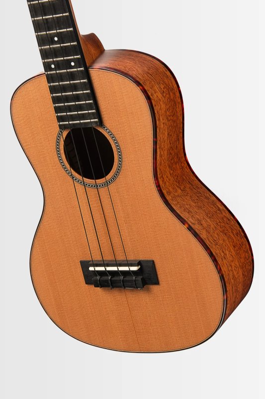 Kala - All Solid Cedar Top Mahogany 12th Fret Concert Ukulele with Bag, Satin #KA-12-SCMH-C-BAG