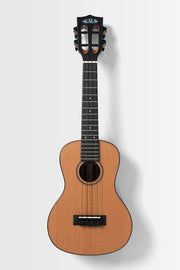 Kala - All Solid Cedar Top Mahogany 12th Fret Concert Ukulele with Bag, Satin #KA-12-SCMH-C-BAG