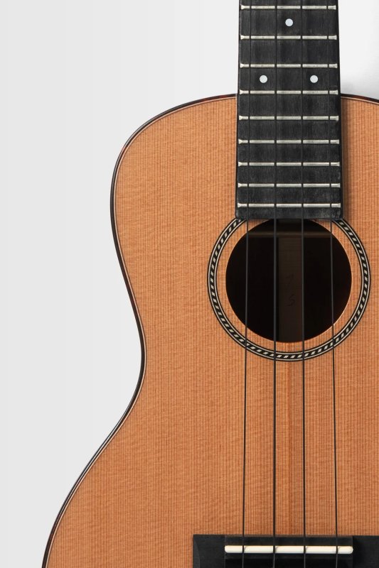 Kala - All Solid Cedar Top Mahogany 12th Fret Concert Ukulele with Bag, Satin #KA-12-SCMH-C-BAG