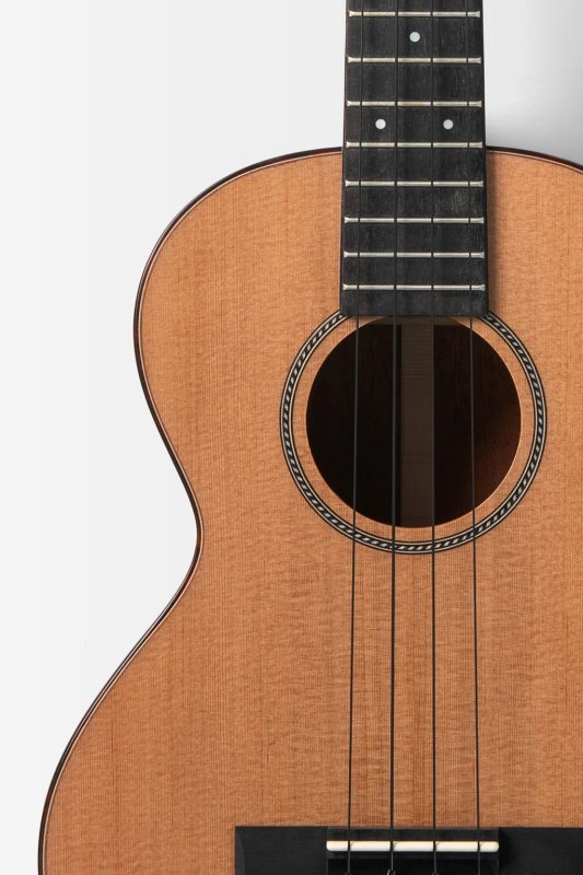 Kala - All Solid Cedar Top Mahogany 12th Fret Tenor Ukulele with Bag, Satin #KA-12-SCMH-T-BAG