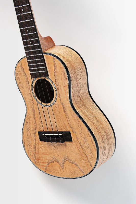 Kala - Mahogany Concert Ukulele With bag, Cape Lilac #KA-CLM-C-BAG