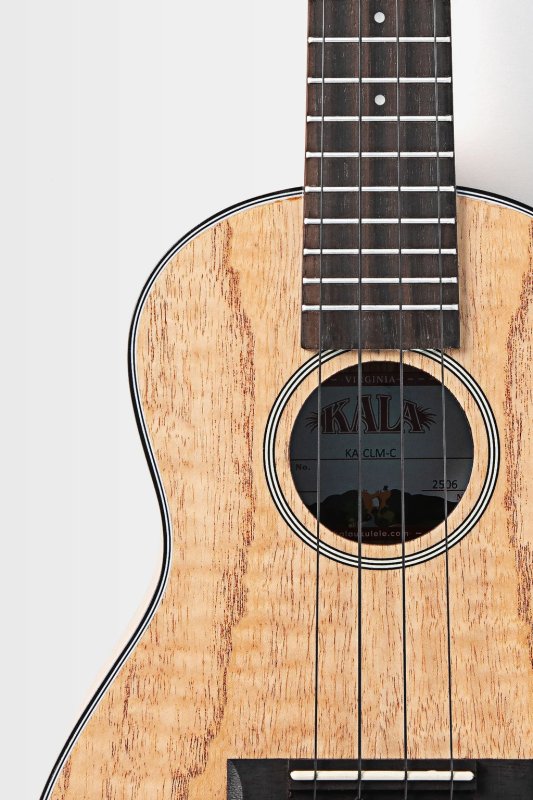 Kala - Mahogany Concert Ukulele With bag, Cape Lilac #KA-CLM-C-BAG