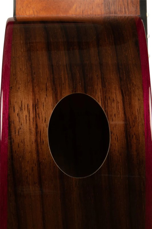 Kala - Contour Deluxe All Solid Gloss Spruce Rosewood Tenor Ukulele w/ Cutaway and Bag #KA-CTD-SSRWTG-C