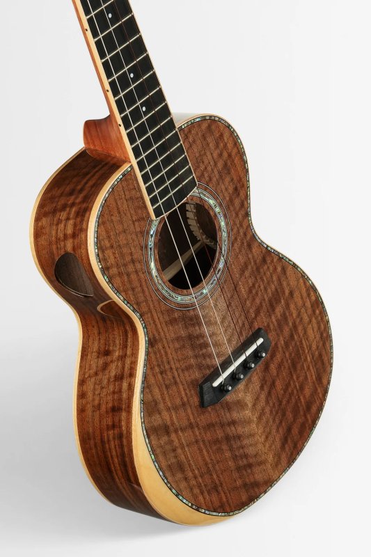 Kala - West Coast Woods Tenor Ukulele, Walnut Top, Gloss #KA-WCW-WAL-T-BAG