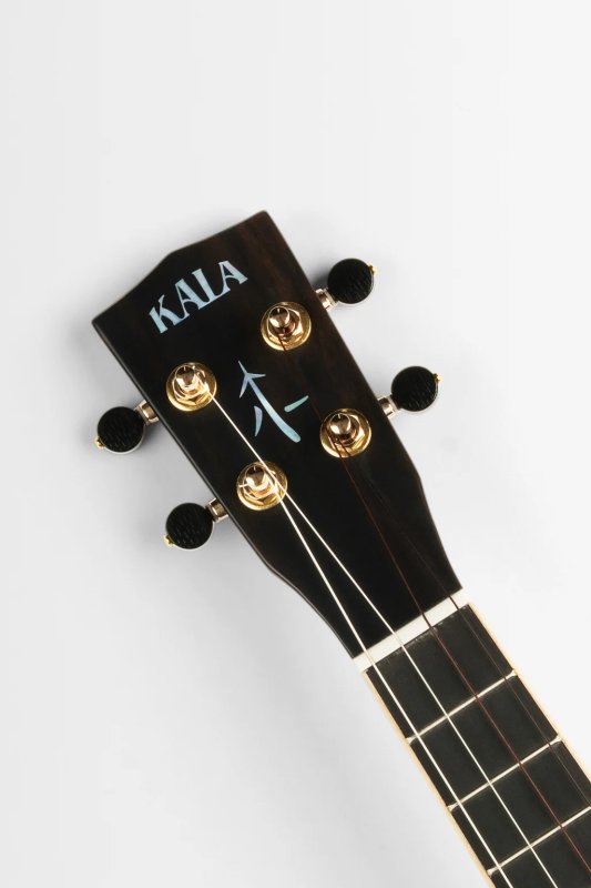 Kala - West Coast Woods Tenor Ukulele, Walnut Top, Gloss #KA-WCW-WAL-T-BAG