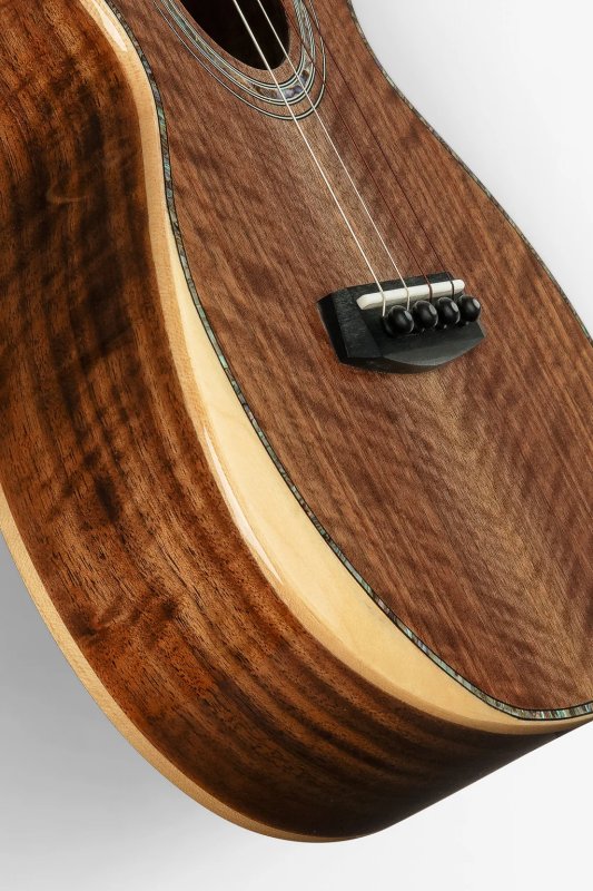 Kala - West Coast Woods Tenor Ukulele, Walnut Top, Gloss #KA-WCW-WAL-T-BAG