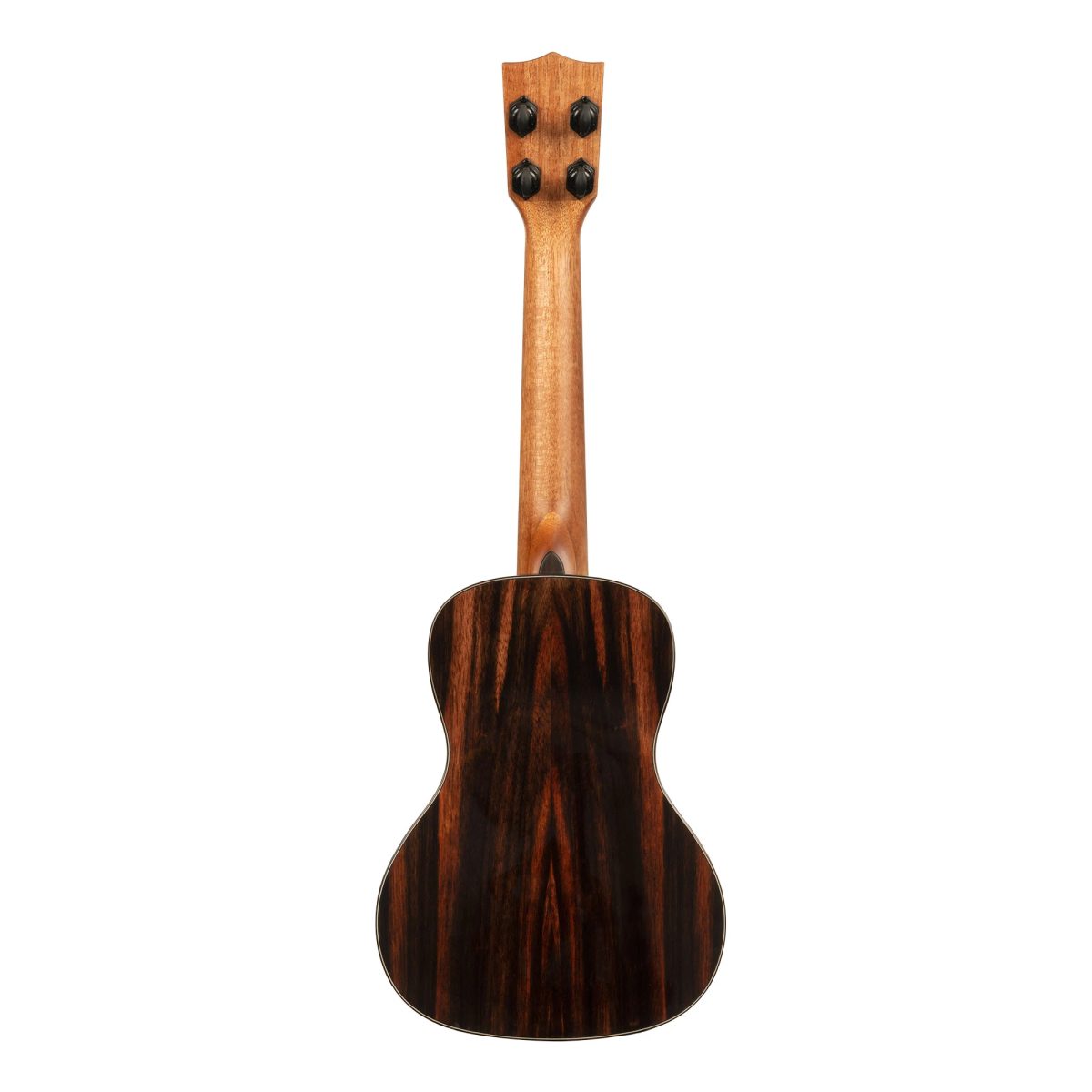 Kala PXEBYC Concert Ukulele back