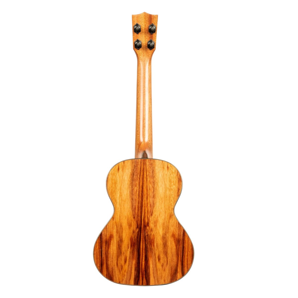 Kala PXMACAT Tenor Ukulele back