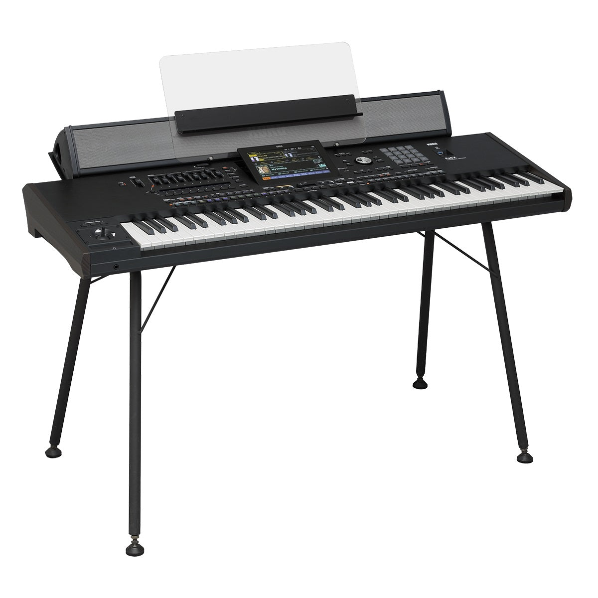 Korg - PaAS MK2 Amplification System for Pa Keyboards